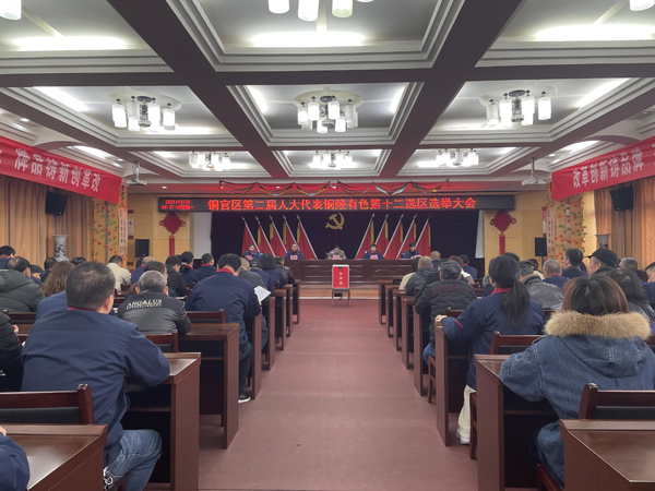 公司完成铜官区第二届人大代表选举工作