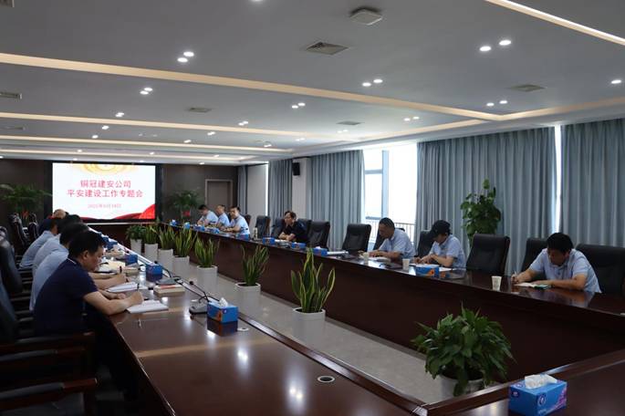 公司召开平安建设工作专题会